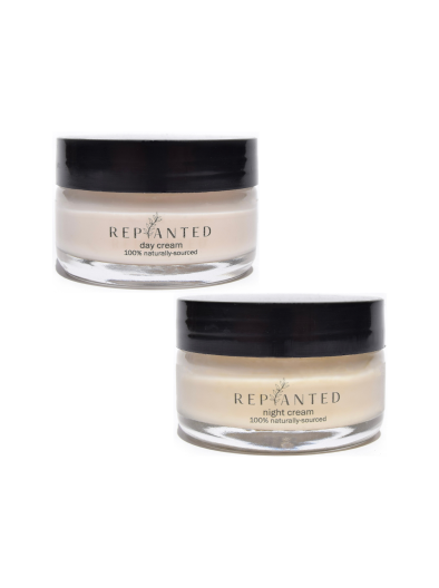 day & night duo